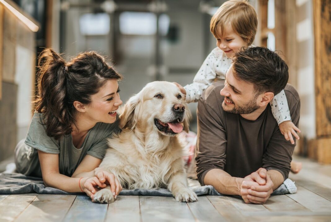 Creature comforts: how SA’s pet boom influences housing demand