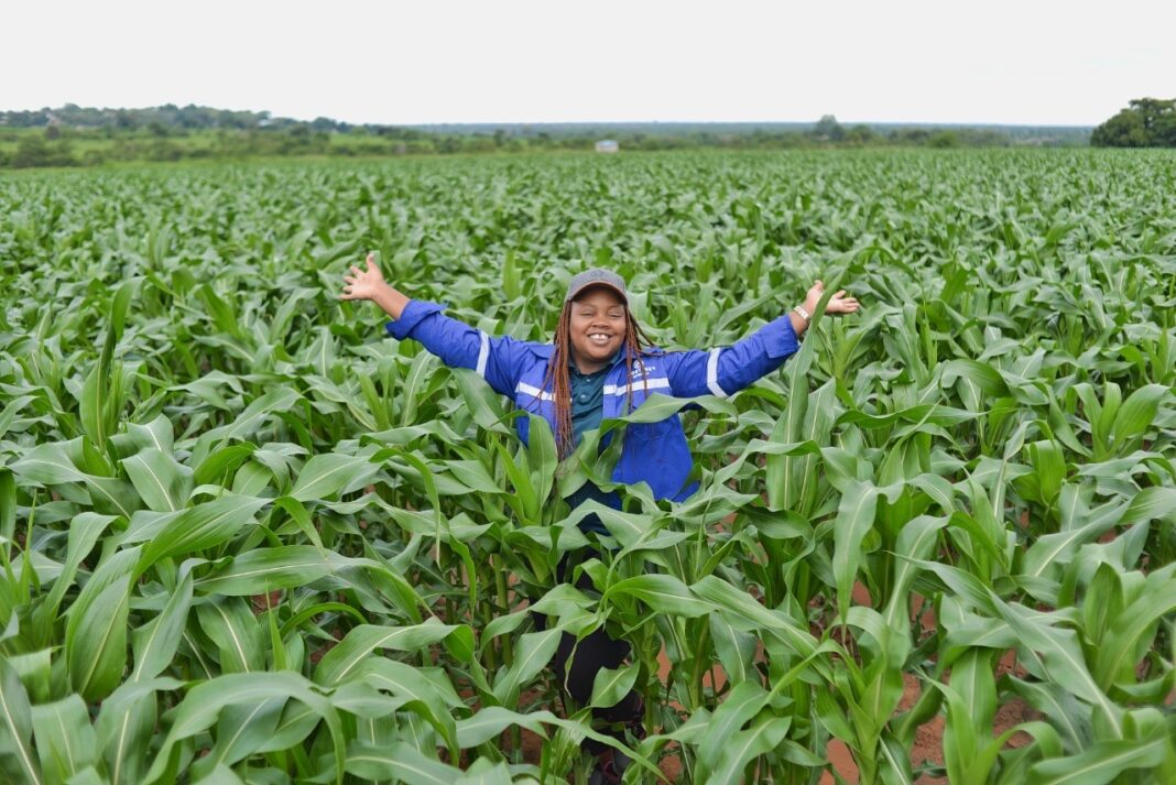 Corteva Agriscience building resilience for South African grain farmers