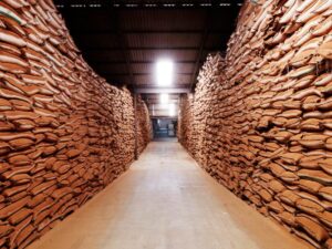 As Rooibos demand grows, safeguarding its origin matters more than ever