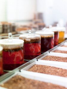 As Rooibos demand grows, safeguarding its origin matters more than ever