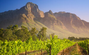 Why South Africa’s Wellness Escapes Rival Anything Thailand or Bali Can Offer